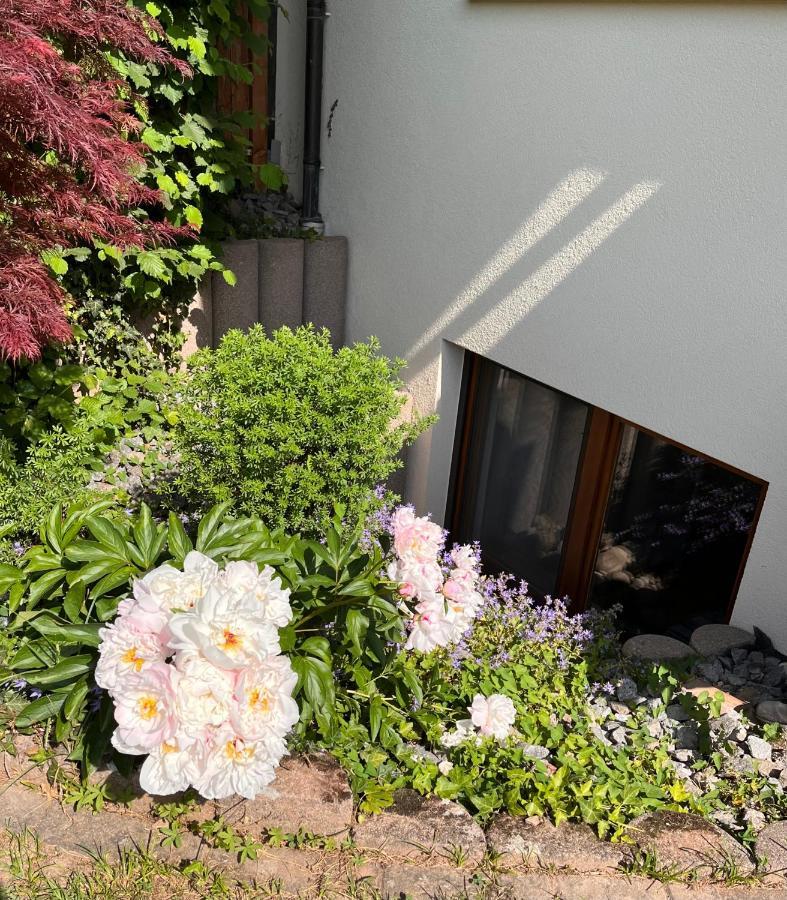 Near Europa-park & Black Forest Apartment